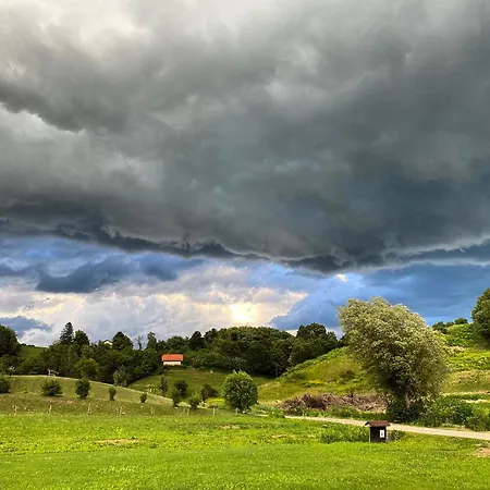 The Old Village At 2 Geese With Pool Pišece