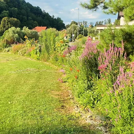 The Old Village At 2 Geese With Pool Βίλα Pišece