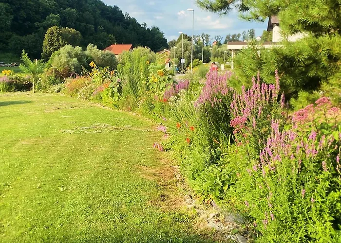The Old Village At 2 Geese With Pool Villa Pišece