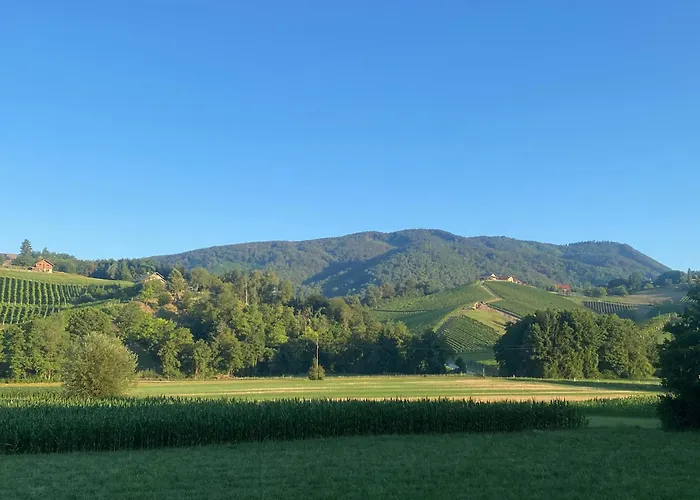 The Old Village At 2 Geese With Pool